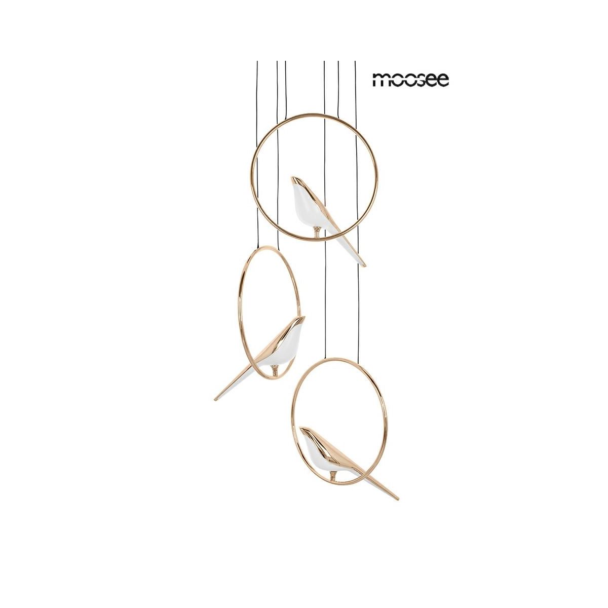 King Home-Bird Disc-MSE010100294-KNGMSE010100294