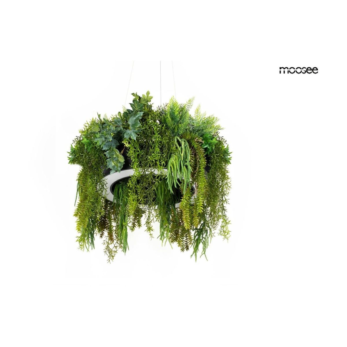 King Home-GARDENS-MSE1501100557-KNGMSE1501100557