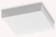 326245_SNOW_Ideal Lux