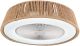 23001_CEILING FAN_Zambelis