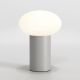 1176026_Zeppo_Astro Lighting