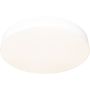 Maxlight LUMO C0269 Plafondlamp 1x36w/led 3000, 4000, 6000 3060lm ip44