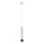 Antigo Eido 8257 Hanglamp 1x10W/GU10 IP20