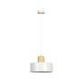 Emibig TORIN 1047/1 Hanglamp 1x15W/E27 IP20