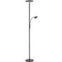 Paul Neuhaus HANS 11709-18 Staande lamp 2x31,5W/LED 3000k 2500/400lm ip20