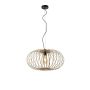 Paul Neuhaus RACOON 11409-79 Hanglamp 1x60W/E27 IP20