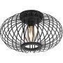 Paul Neuhaus RACOON 11410-18 Plafondlamp 5x40W/E27 ip20
