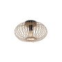 Paul Neuhaus RACOON 11410-79 Plafondlamp 1x40W/E27 IP20