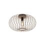 Paul Neuhaus RACOON 11411-79 Plafondlamp 1x40W/E27 IP20