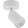 TK Lighting NEX 11368 Spot 1x10W/GU10 IP20