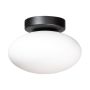 Zuma Line OMI 1186 Plafondlamp 1x5W/G9 IP20
