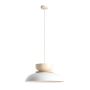 Aldex ALDO 1152G2_9_J Hanglamp 1x15W/E27