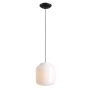 Aldex FLASK ORCHID L 8500G1_L Hanglamp 1x15W/E27