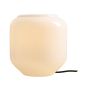 Aldex FLASK ORCHID S 8500B1_S Tafellamp 1x10W/E14