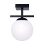 Zuma Line GLOBE 1210 Plafondlamp 1x10W/E14 IP20
