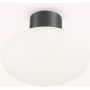 Ideal Lux CLIO 148861 Plafondlamp 1x42W/E27 ip44