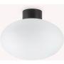 Ideal Lux CLIO 148878 Plafondlamp 1x42W/E27 ip44
