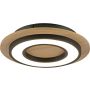 Paul Neuhaus TOLA 14560-18 Plafondlamp 1x18W/LED 3000k 2200lm ip20