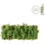 Paul Neuhaus GREEN CARL 15637-66 Wandlamp 6x6,5W/LED 3000k 780lm ip20
