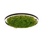 Paul Neuhaus GREEN RITUS 15392-66 Plafondlamp 1x28W/LED 3000k 960lm ip20