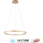 Paul Neuhaus RITUS 15394-60 Hanglamp 1x31,5W/LED 3000k 3650lm ip20