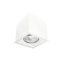 Antigo Cage 1079 Opbouwspot 1x10W/GU10 IP20