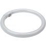 Prezent OTHERS BULBS 17007 TUBE Gloeilamp 28w/t5