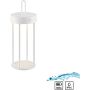 Paul Neuhaus ANSELM 19300-16 Tafellamp 1x1,5W/LED 2700k 130lm ip44