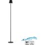 Paul Neuhaus EURIA 19252-18 Vloerlamp 1x2,5W/LED 3000k 320lm ip54