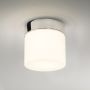 Astro Lighting SABINA 1292001 Plafondlamp 1x12W/E27 IP44
