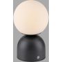 Paul Neuhaus RUDI 19218-18 Tafellamp 1x1,2W/LED 3000-6000k 80lm ip20