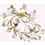 Zuma Line LEAF MX2858-6-EGN Plafondlamp 6x3.5W/G9 ip20