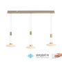 Paul Neuhaus LAUTADA 2081-60 Hanglamp 3x7,5W/LED 3000K 1800LM IP20