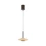 Paul Neuhaus PURE VITRUM 2053-34 Hanglamp 2x10W/LED 2700K 530lm IP20