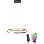 Paul Neuhaus Q-BELUGA 2051-60 Hanglamp 1x62W/LED 2700-5000k 6900lm ip20