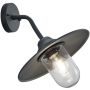 Trio BRENTA 201760142 Wandlamp 1x40w/e27 ip44