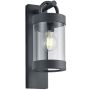 Trio SAMBESI 204160142 Wandlamp 1x28w/e27 ip44