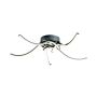 Zuma Line FOCUS 20023-5CCH Plafondlamp 1x35W/LED 3000K|4000K|6000K 2300lm IP20