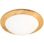 Fischer&Honsel SHINE-WOOD 21489 Plafondlamp 2x40w/e27 ip20