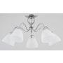 Alfa ARIEL 22605 Plafondlamp 5x60W/E27