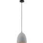 Paul Neuhaus ETON 2231-22 Hanglamp 1x40W/E27 ip20