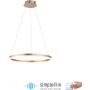 Paul Neuhaus TITUS 2382-60 Hanglamp 1x44W/LED 3000k 5250lm ip20