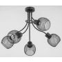 Alfa PLENA 25835 Plafondlamp 5x60W/E27 IP20