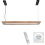 Paul Neuhaus PALMA 2625-79 Hanglamp 1x27W/LED 2700-5000k 2750lm ip20