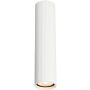 Italux Rilok CLN-83920-L-WH Opbouwspot 1x10W/GU10 IP20