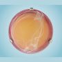 Eglo SAMOA 27883 Plafondlamp 1x60W/E27