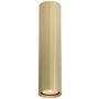 Italux Rilok CLN-83920-L-GD Opbouwspot 1x10W/GU10 IP20