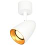 Italux Tino SPL-36748-1R-WH-GD Spot 1x10W/GU10 IP20