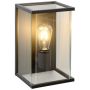 Lucide CLAIRE 27883/01/30 Wandlamp 1x60w/e27 ip54