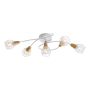 Prezent TAMETA 27506 Plafondlamp 5x40W/E14 IP20